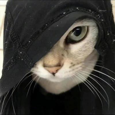 石头剪刀布