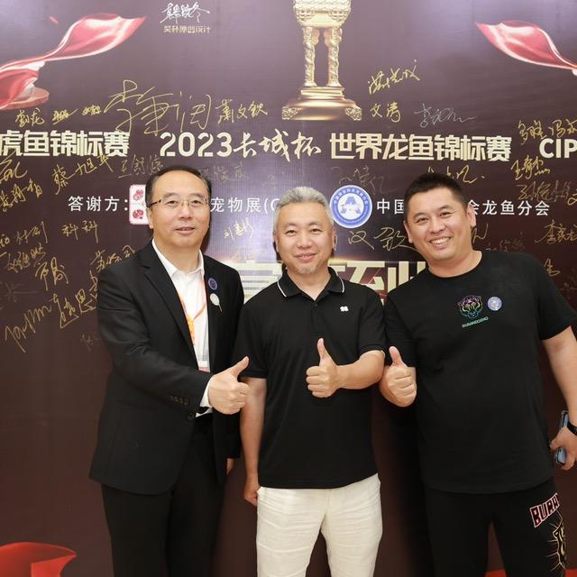 毛衣爱养鱼