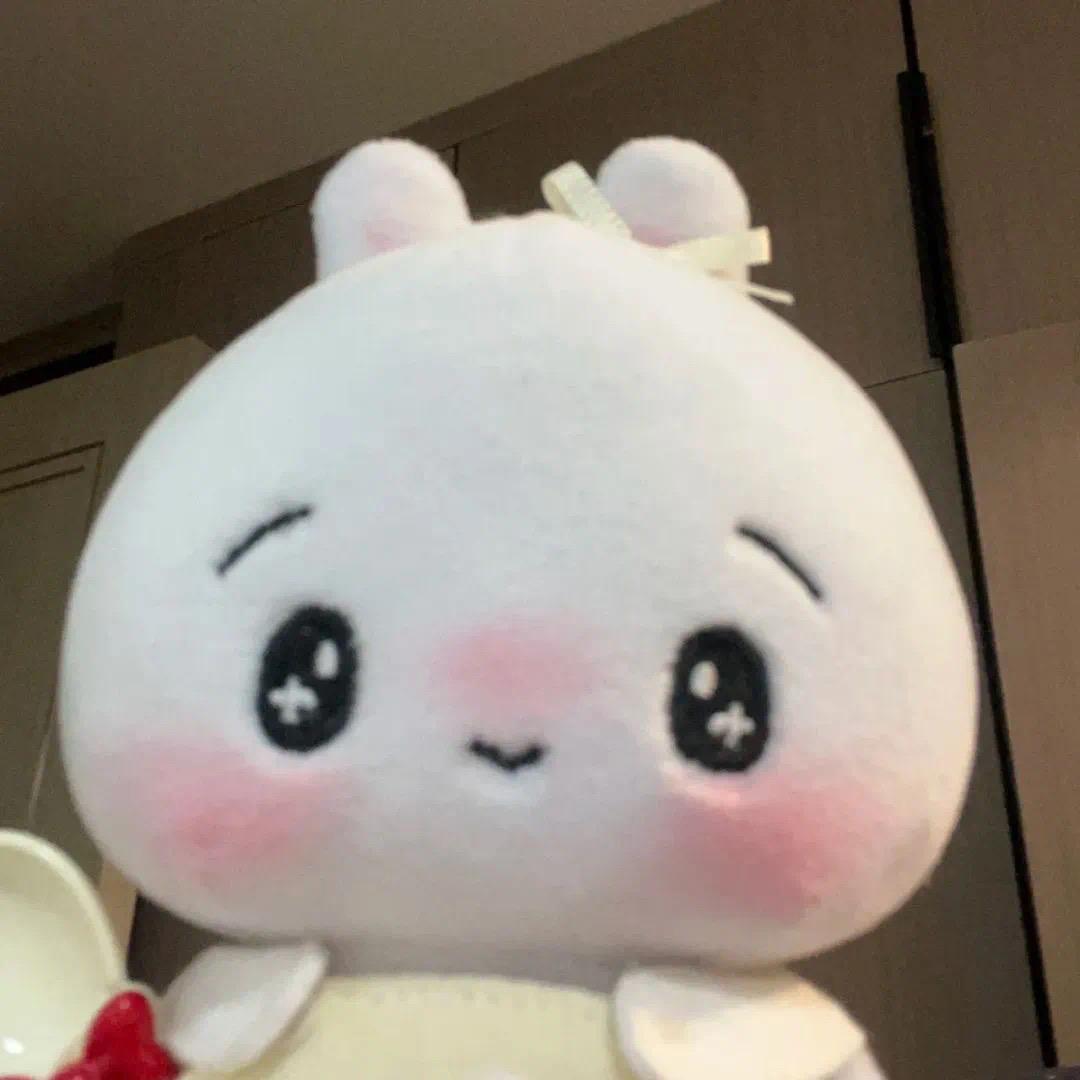 爱吃香菜-
