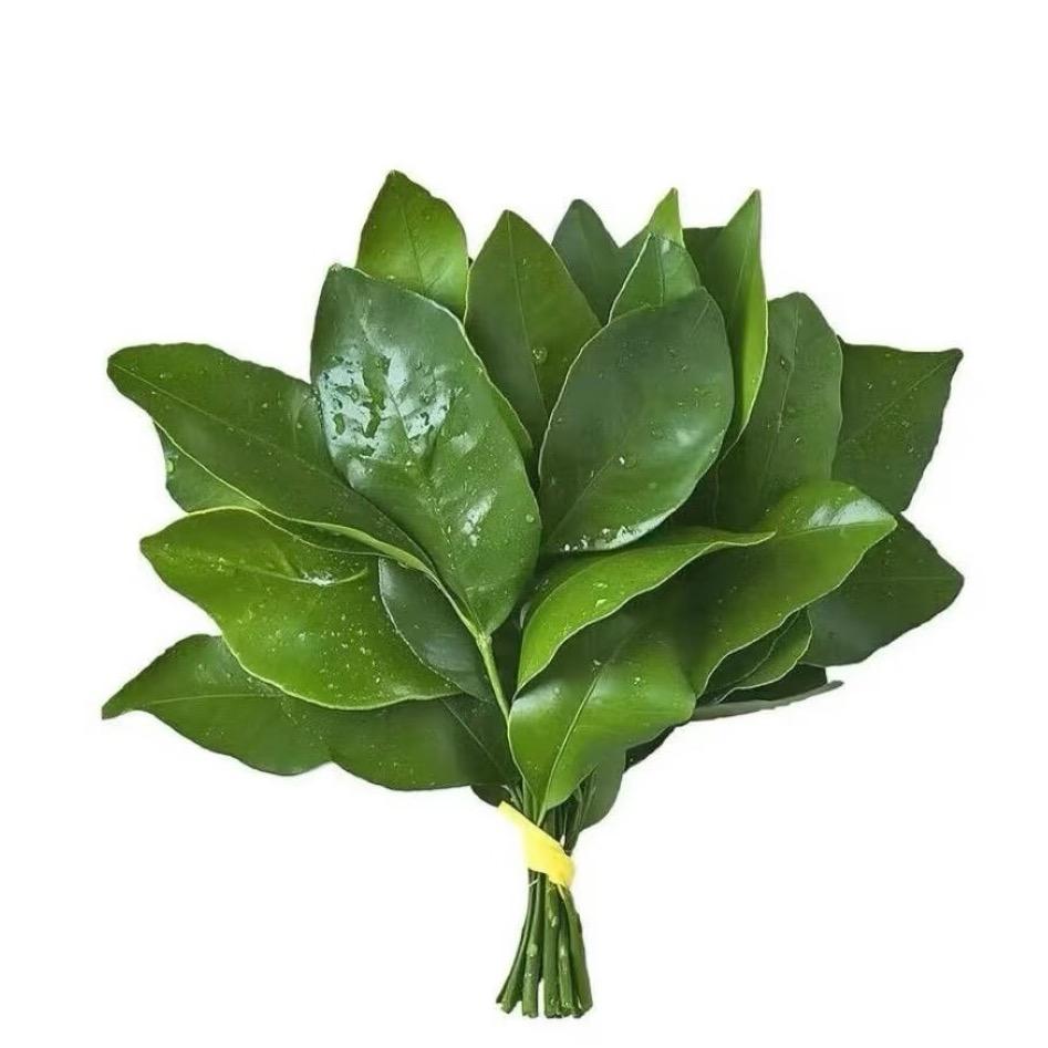 小阳在🥳