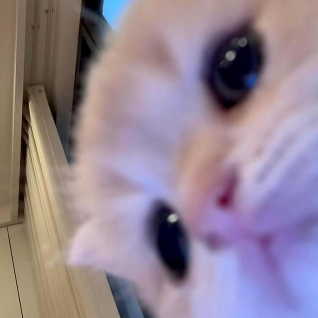 我就是一个臭刷抖音的