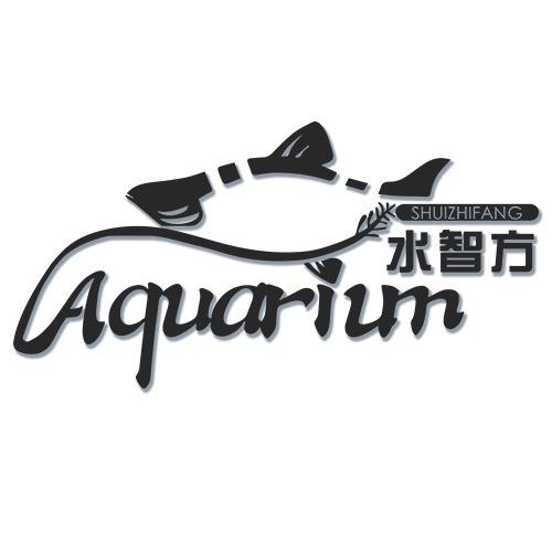 水智方水族旗舰店生活体验馆