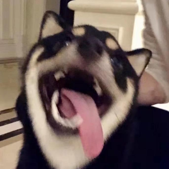 ʕ̡̢̡ʘ̅͟͜͡ʘ̲̅ʔ̢̡̢