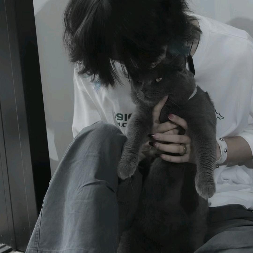 吴子琛