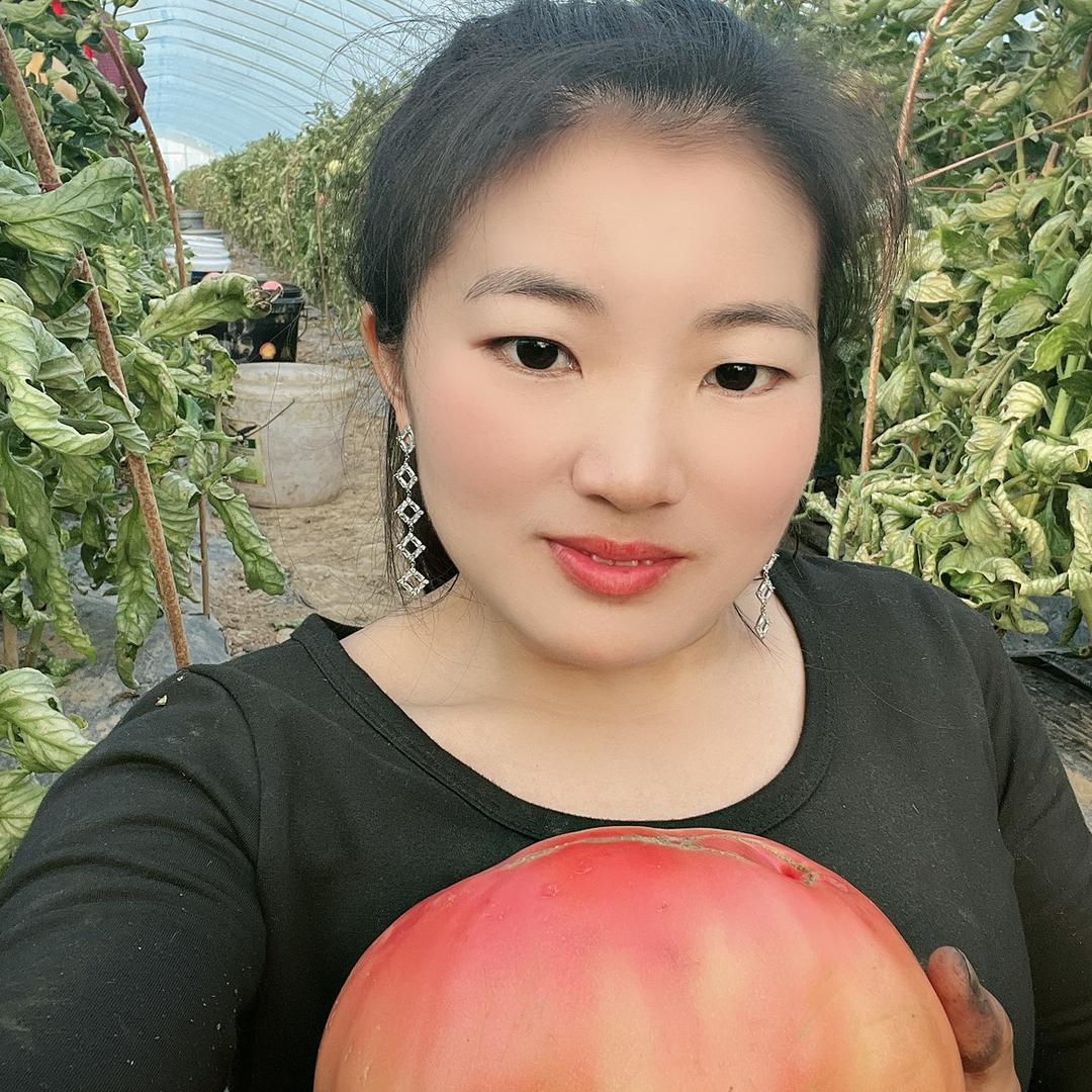 努力的心霞