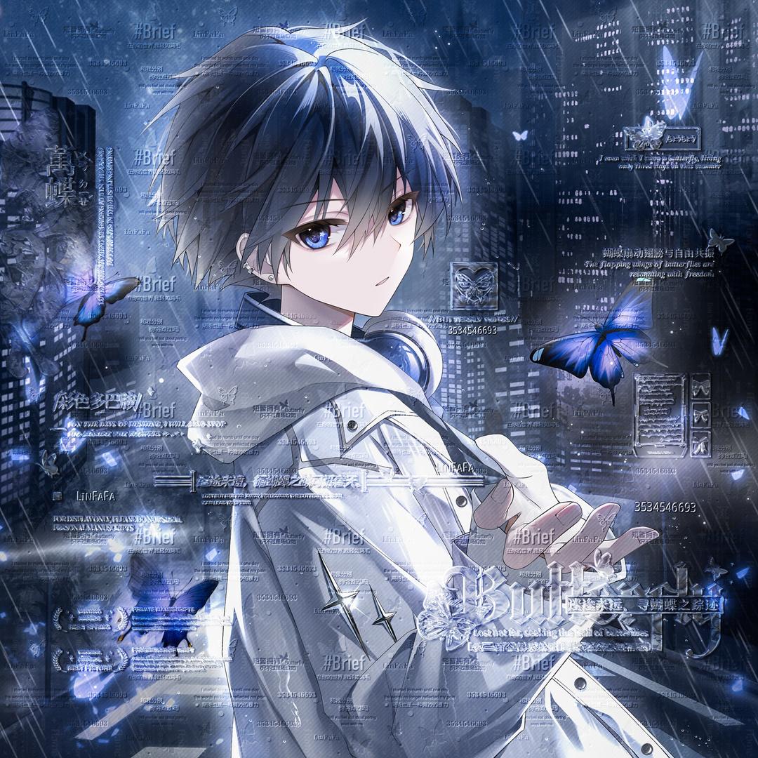 佳霖国服诸葛（巅峰第一）