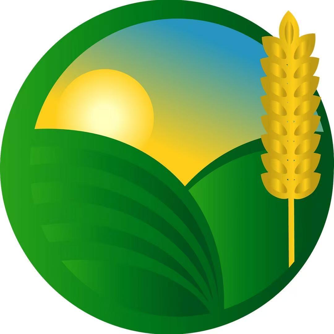 鼎通顺安果蔬企业店