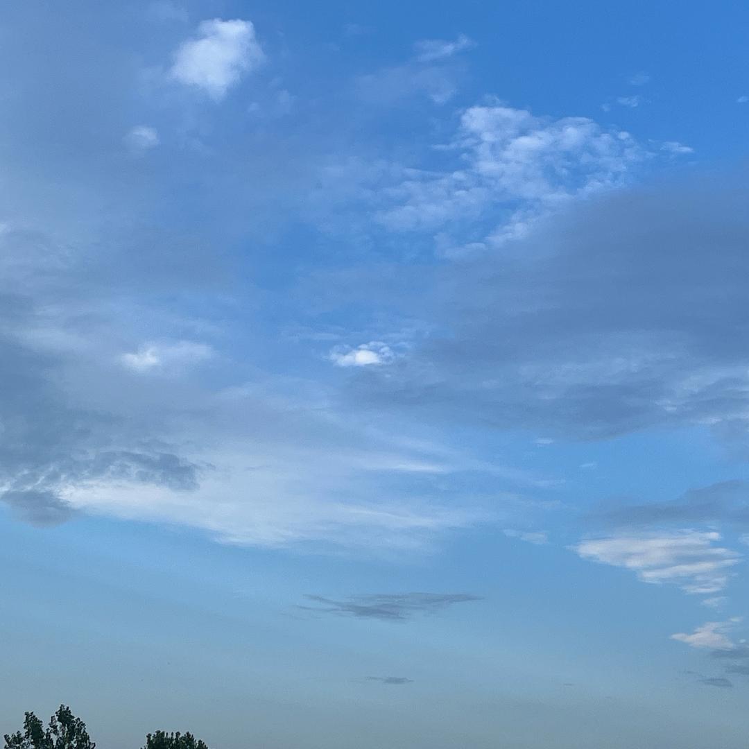 正月拾陆.