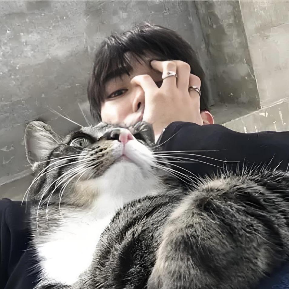 戒糖
