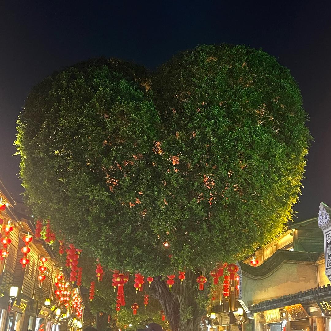 双木林