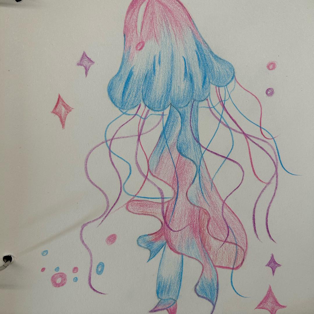 郑村明德小学官老师