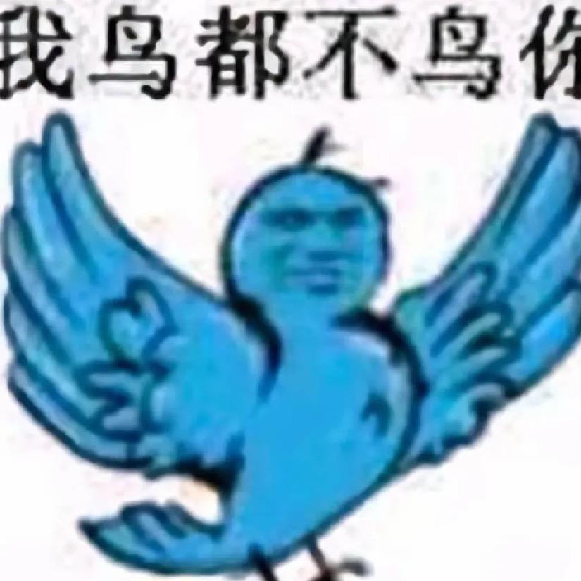 栖鸟（流量回家）