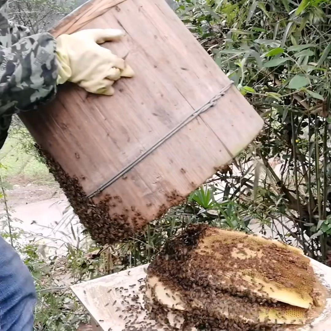 蜂人阿豪农家山货