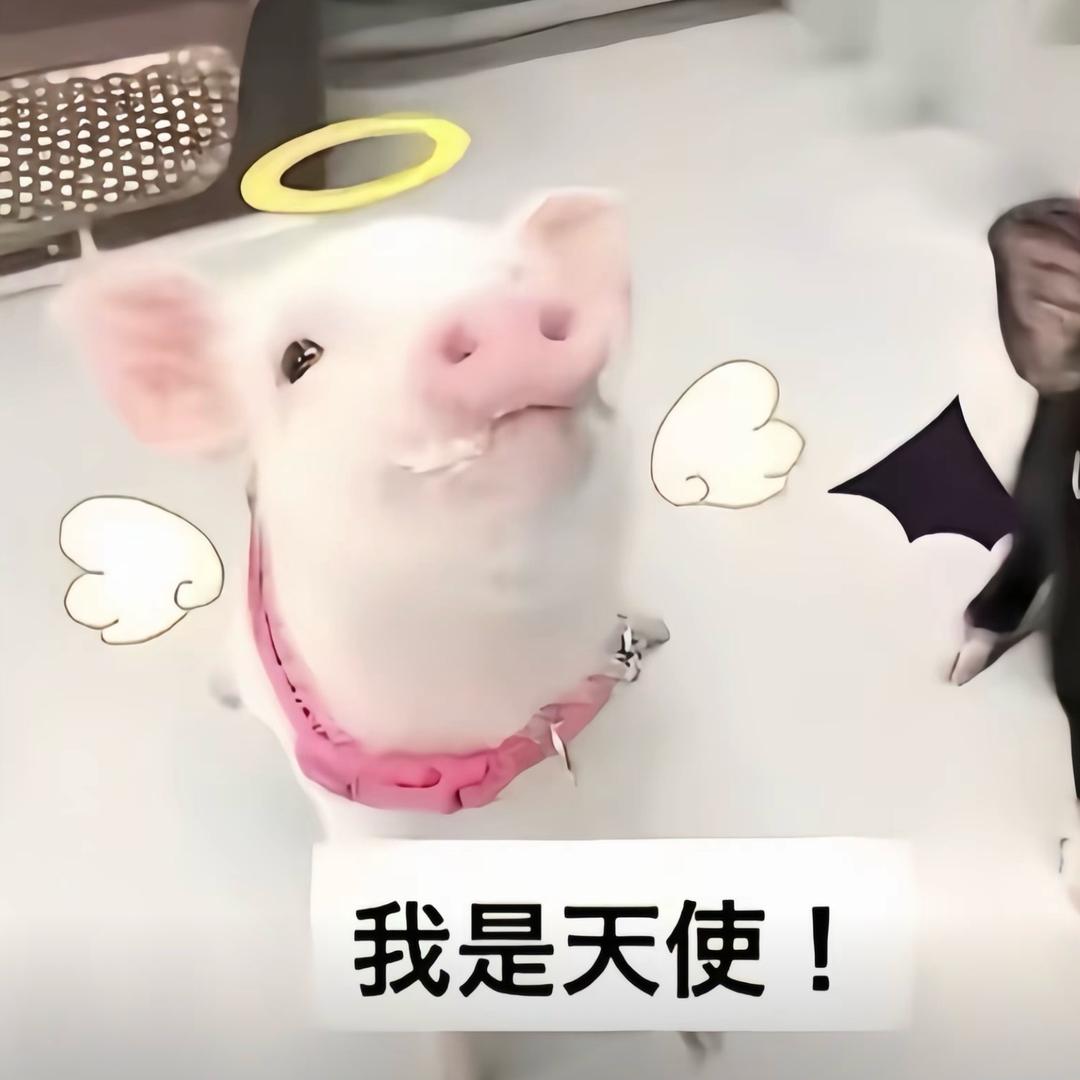 ᅠᅠᅠᅠᅠㅤᅠᅠᅠᅠᅠㅤ