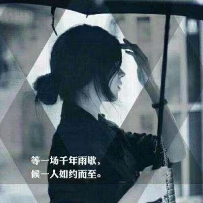 半壶纱