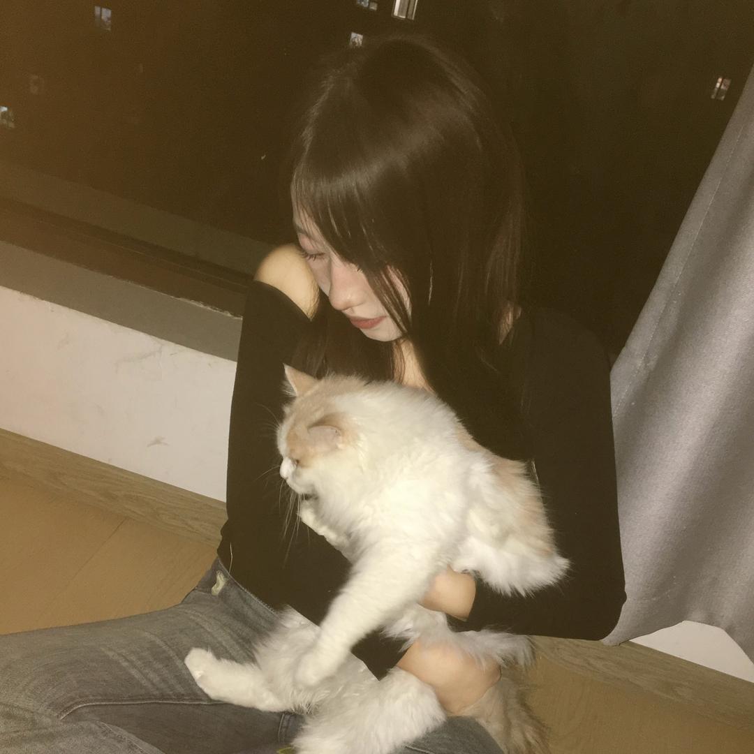 zhizhi-