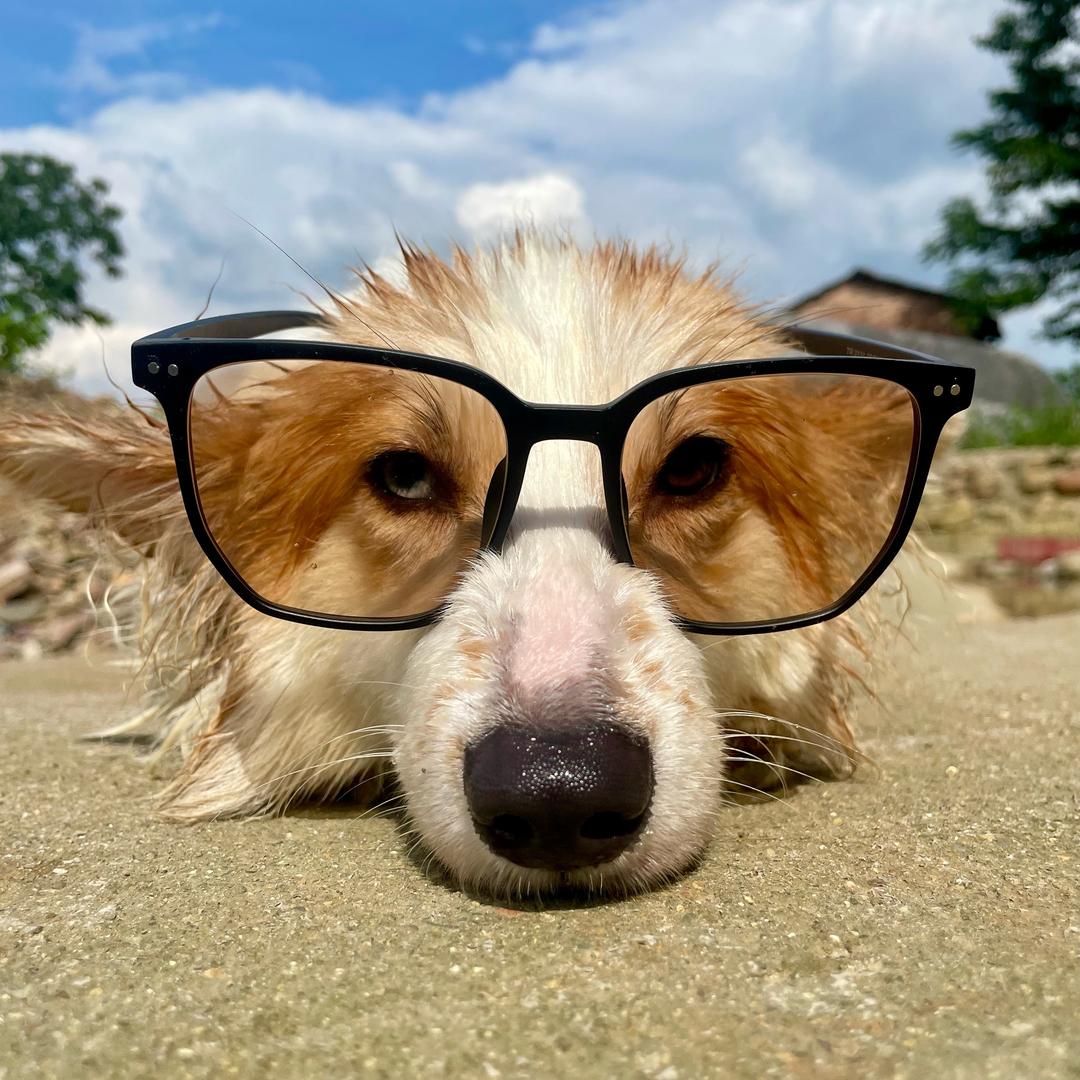 叼着奶瓶去上班