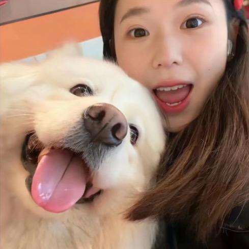 不吃香菜