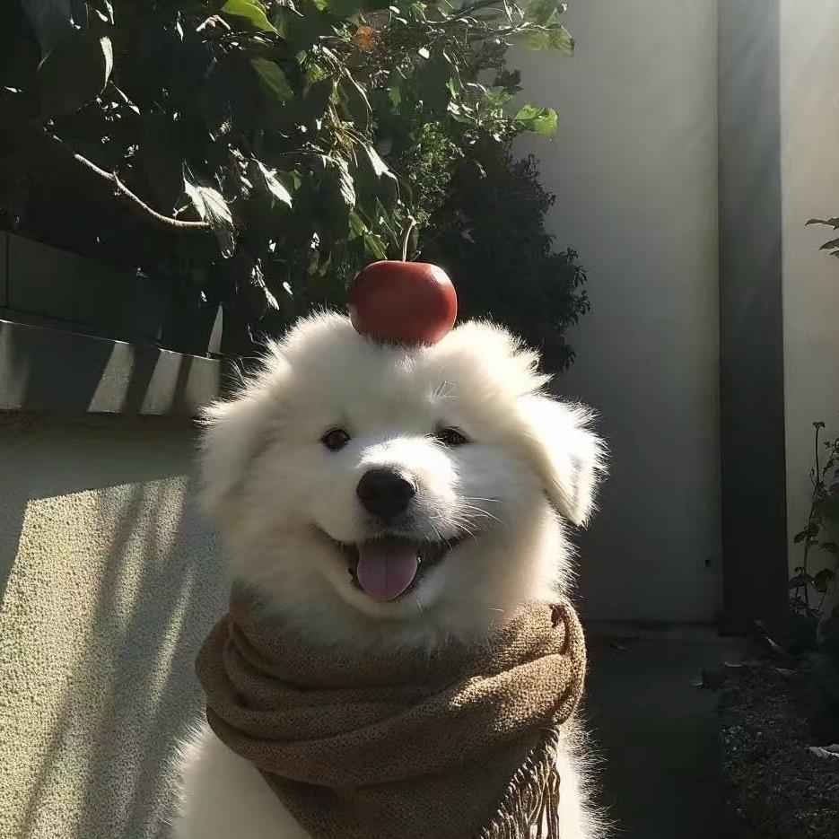 等风静待花开
