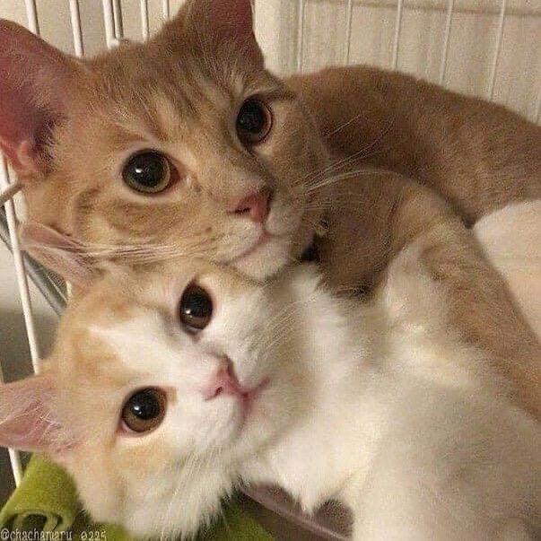 ㅤㅤㅤㅤㅤ中中中