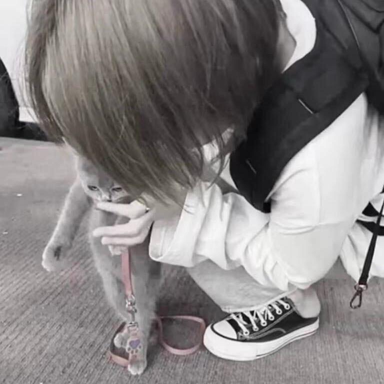 你长得不错