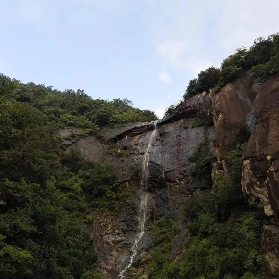 冲哥情感话