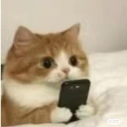 可可可困了