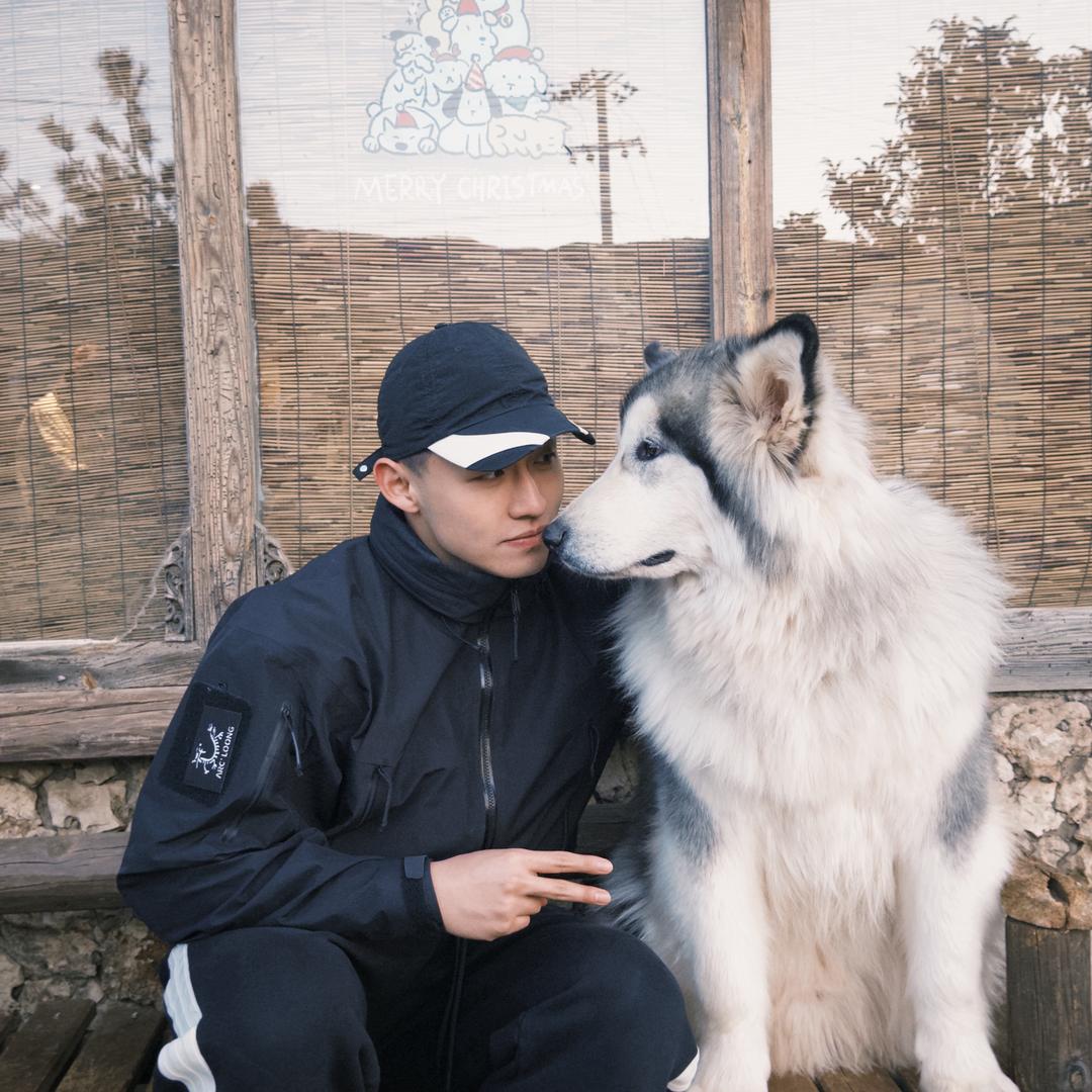 细狗任任