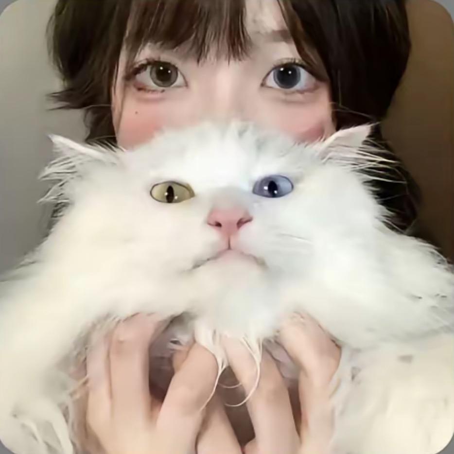 梨花诗