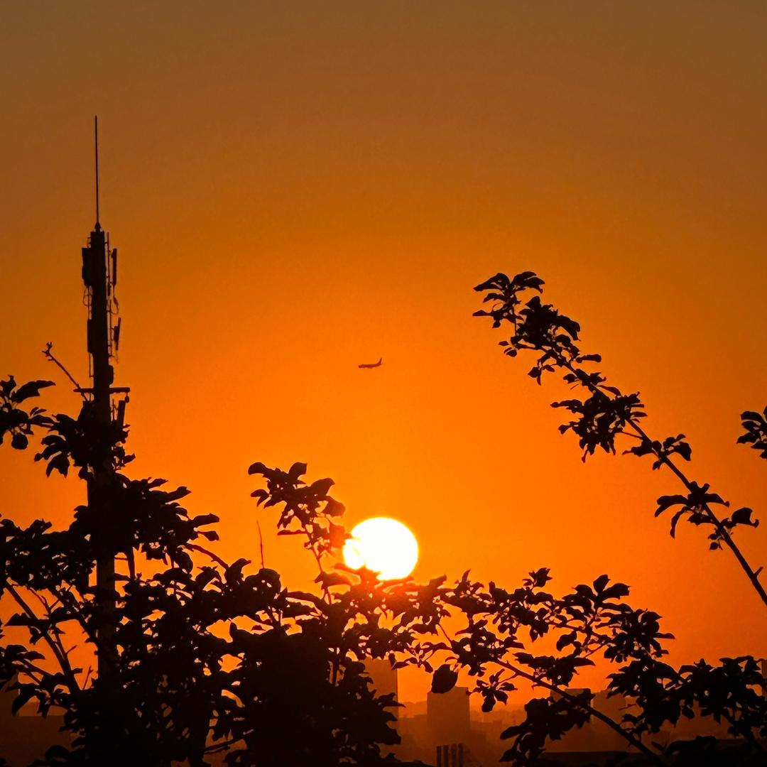 🦐🐖🌰🍓🍏🐥🌞🌅