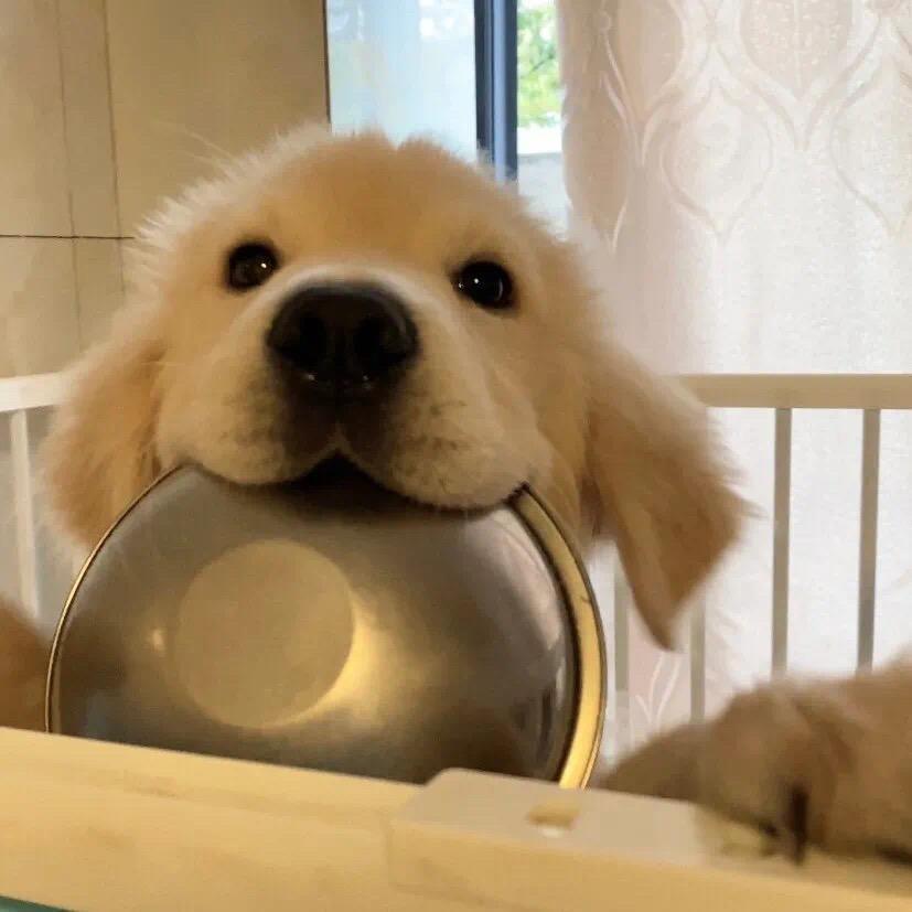姐夫⁷