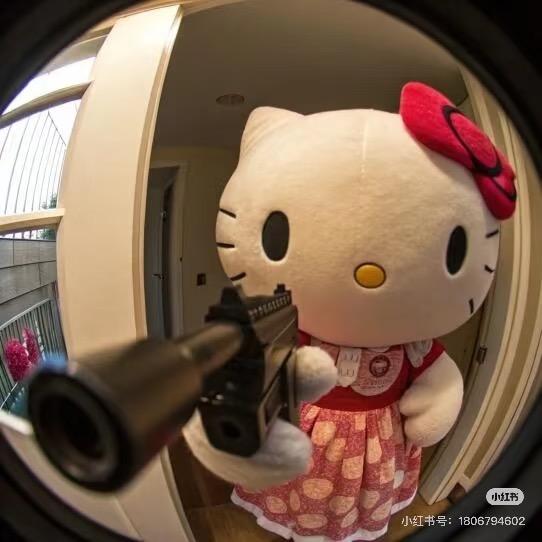 笨蛋美女.
