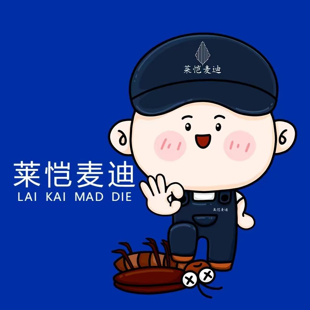 莱恺麦迪旗航店