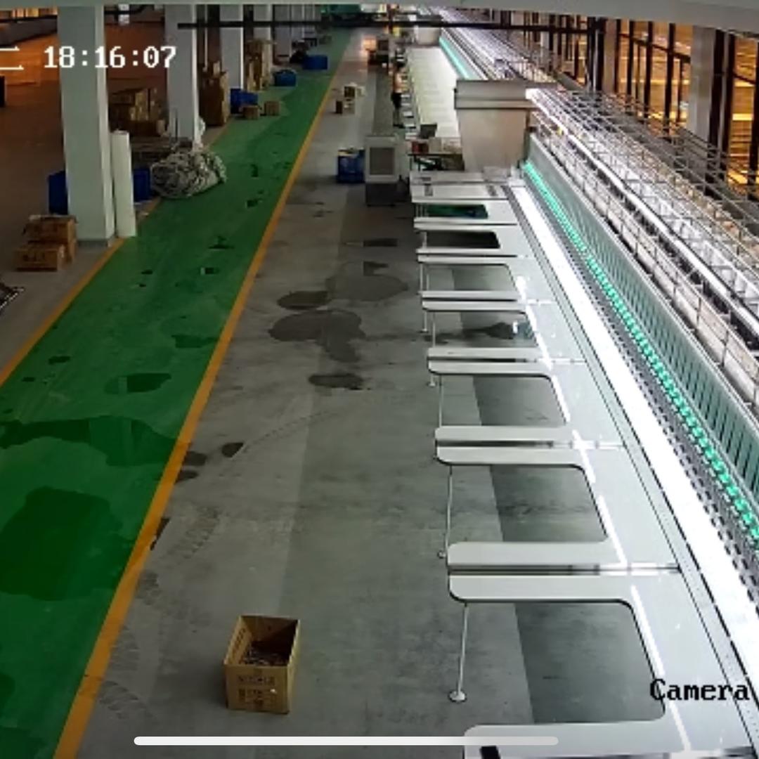竹子志向