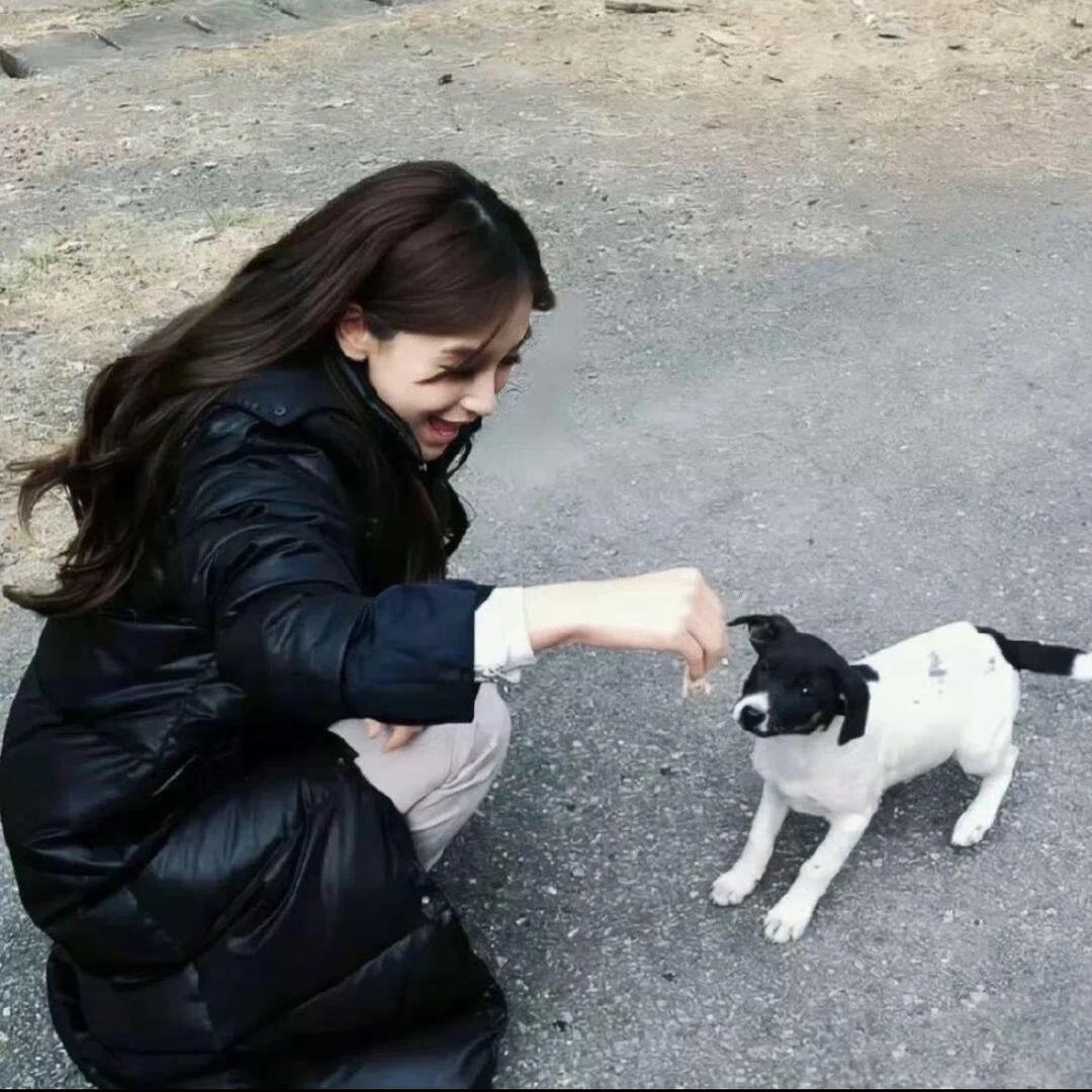 江婻婻