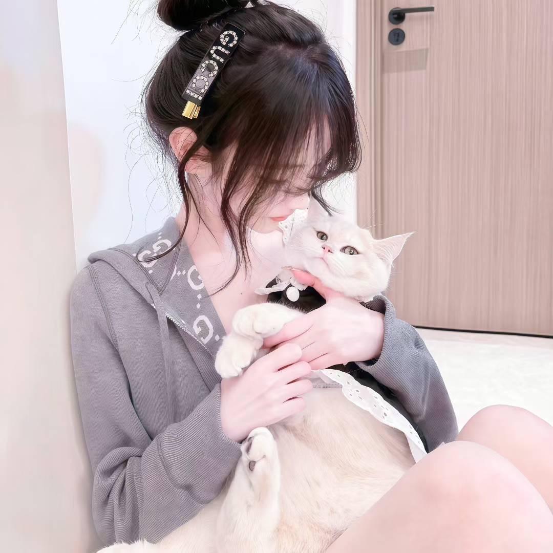 ヾ海豚ヅ