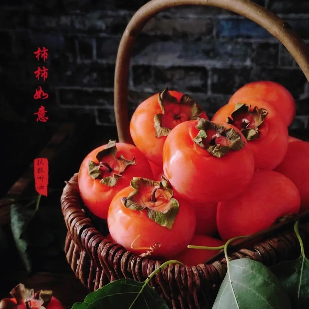 乐爸爱美食