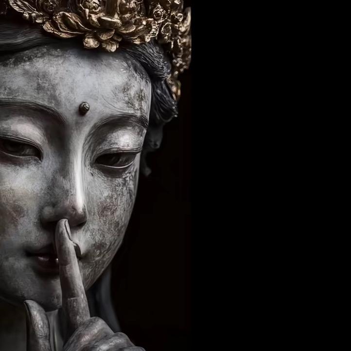 小别兔别又别