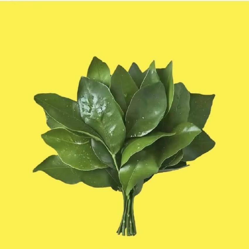 红卫农场富利火锅 🍬