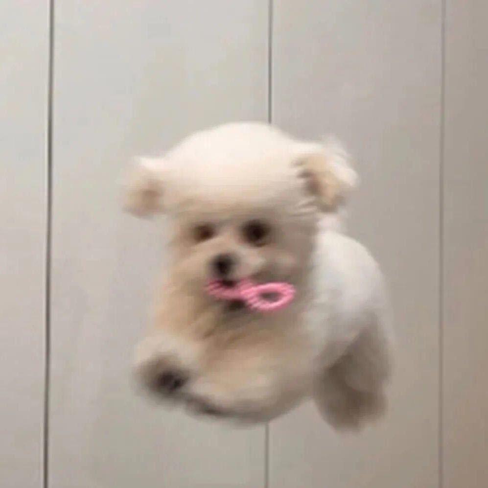 bb