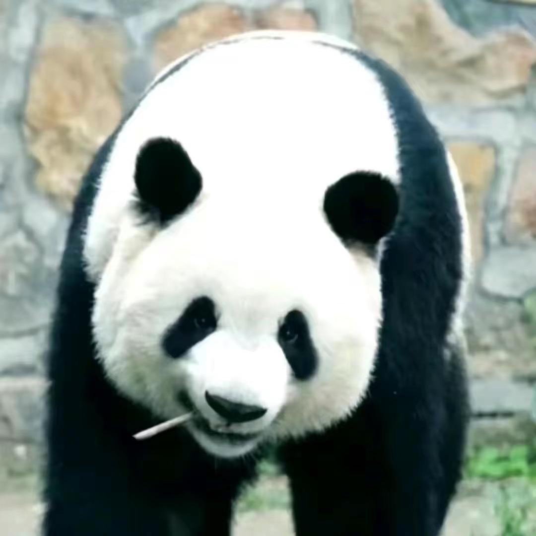 熊熊熊熊熊熊熊熊