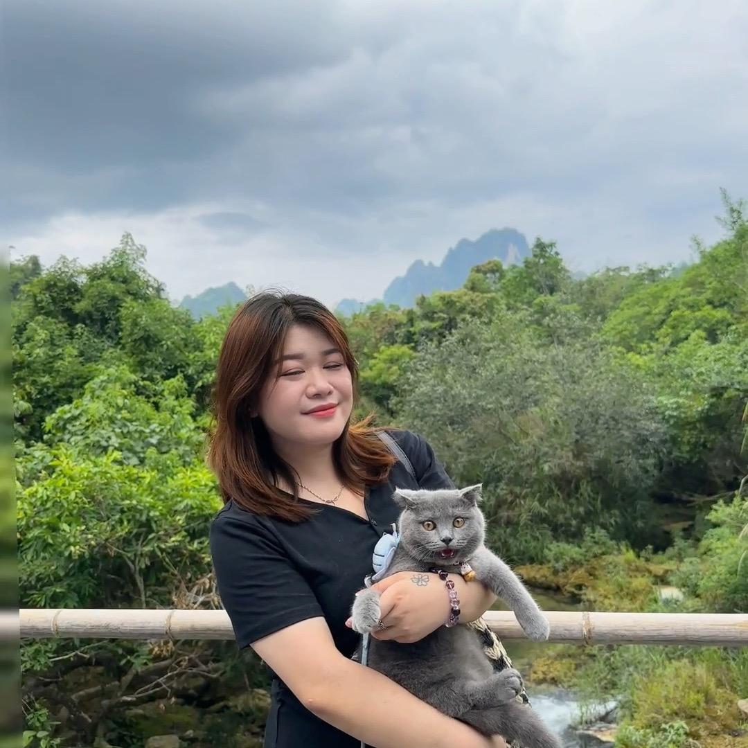 阿松的茶与咖