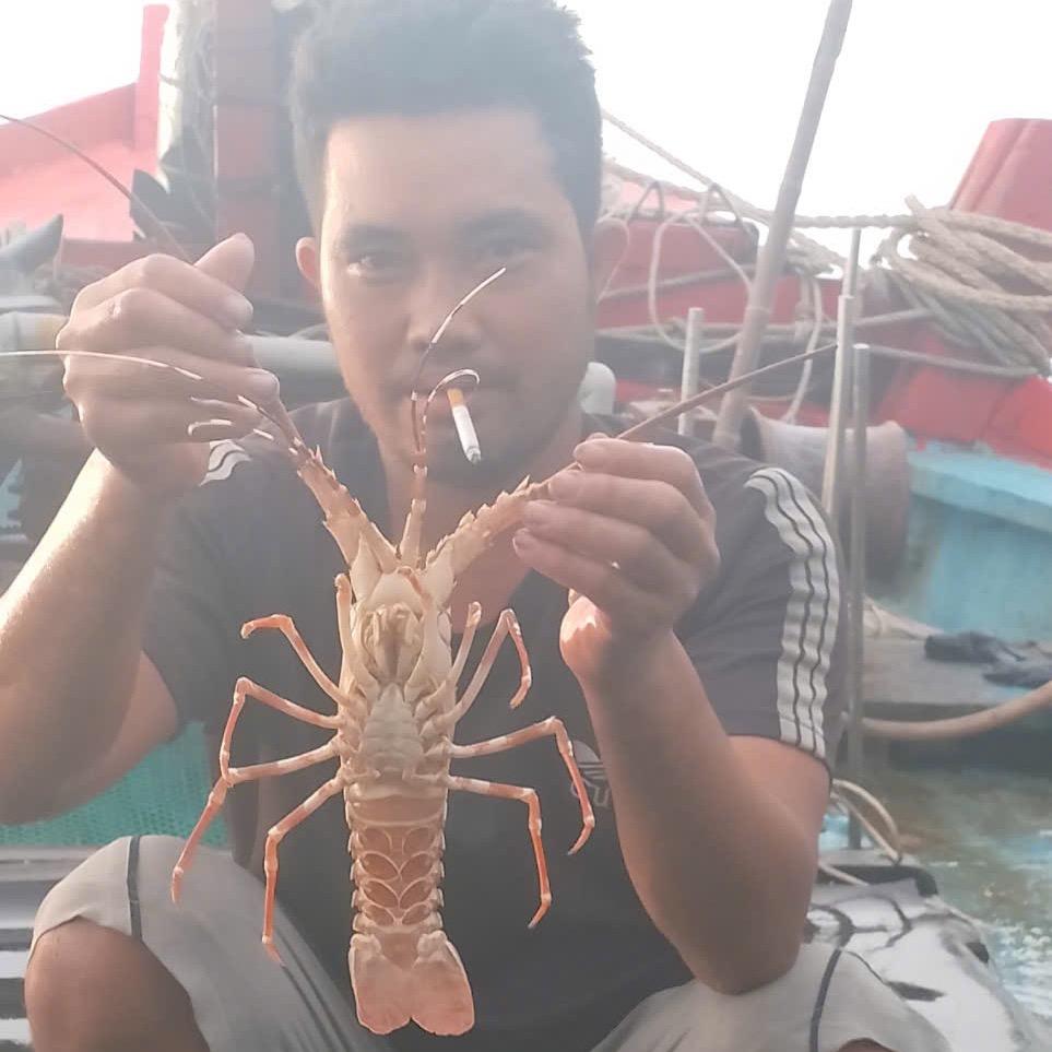 Tùng thảo