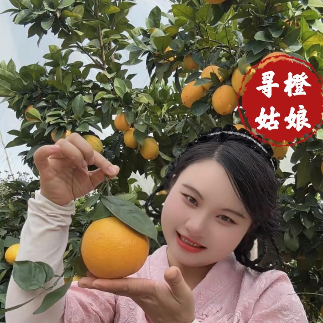 寻橙姑娘的乡村