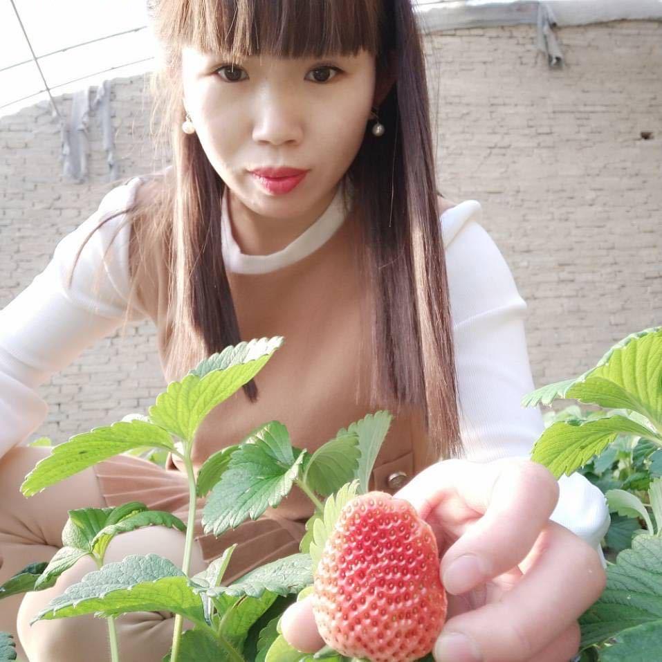 巧巧湿敷水奶茶