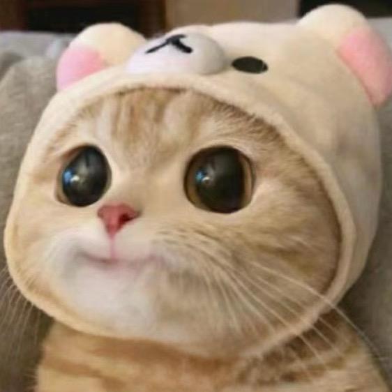 奔驰宝马奥迪在线编程