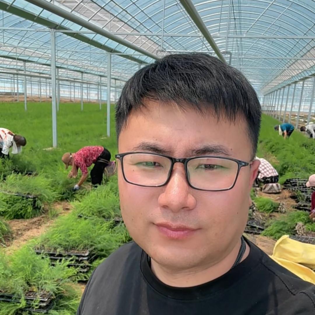 冠军芦笋金蝉（芦笋苗+蝉蚁）