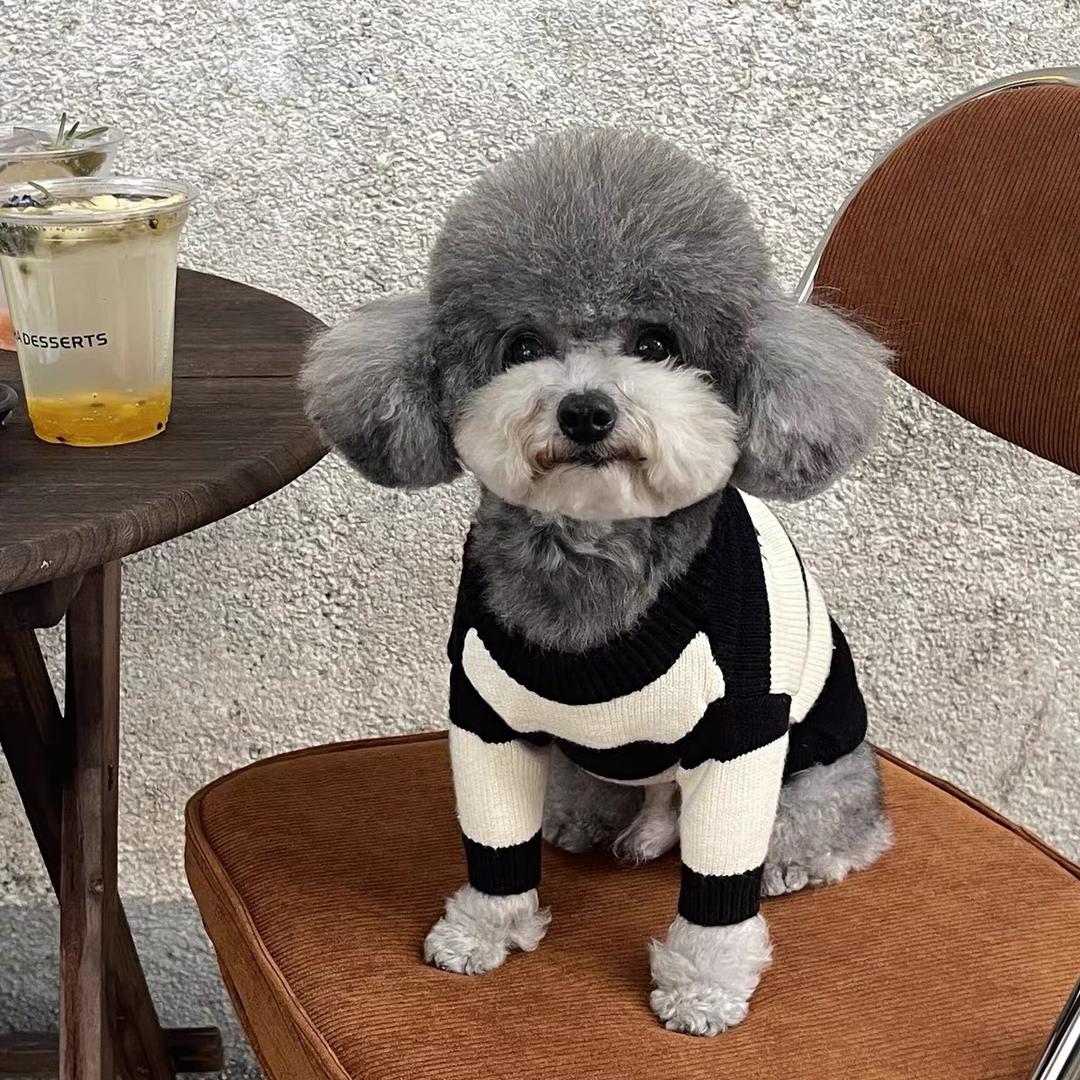 陈暮笙Mosen