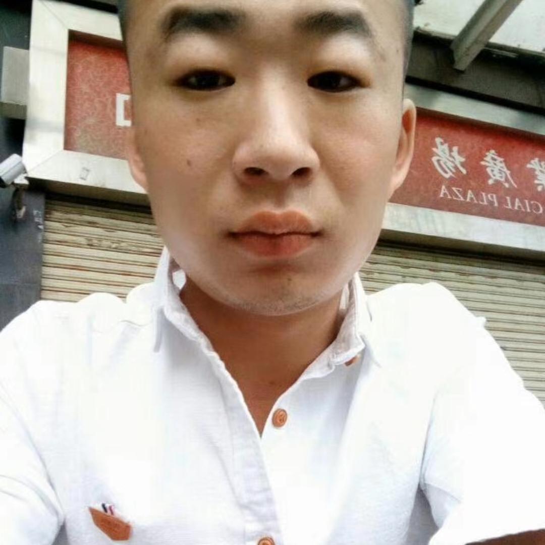 龙