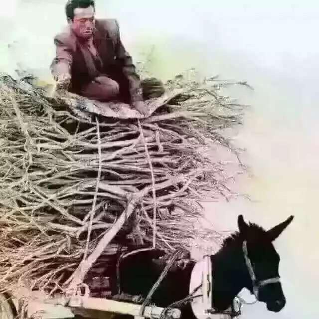 段局